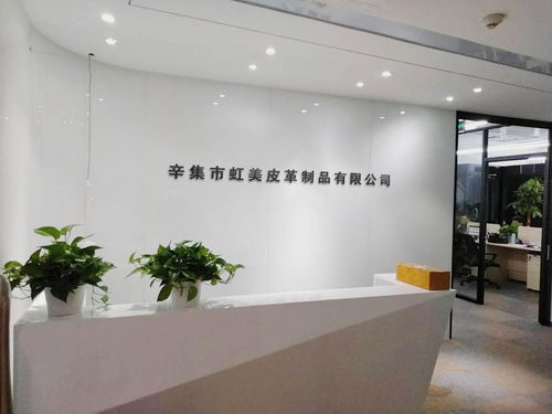 辛集市虹美皮革制品 以專業會議及展覽服務，打造皮革行業交流新平臺